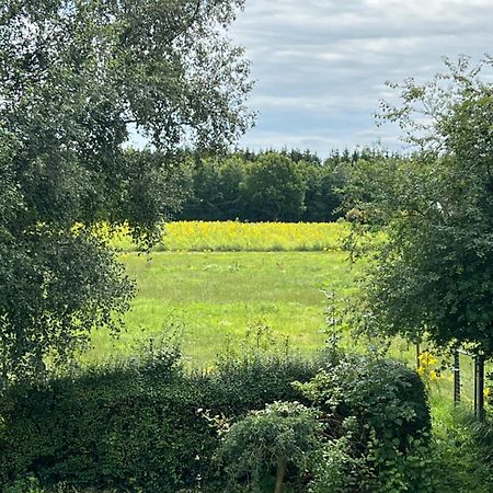 Vejbaek Domus Lägenhet Padborg Exteriör bild