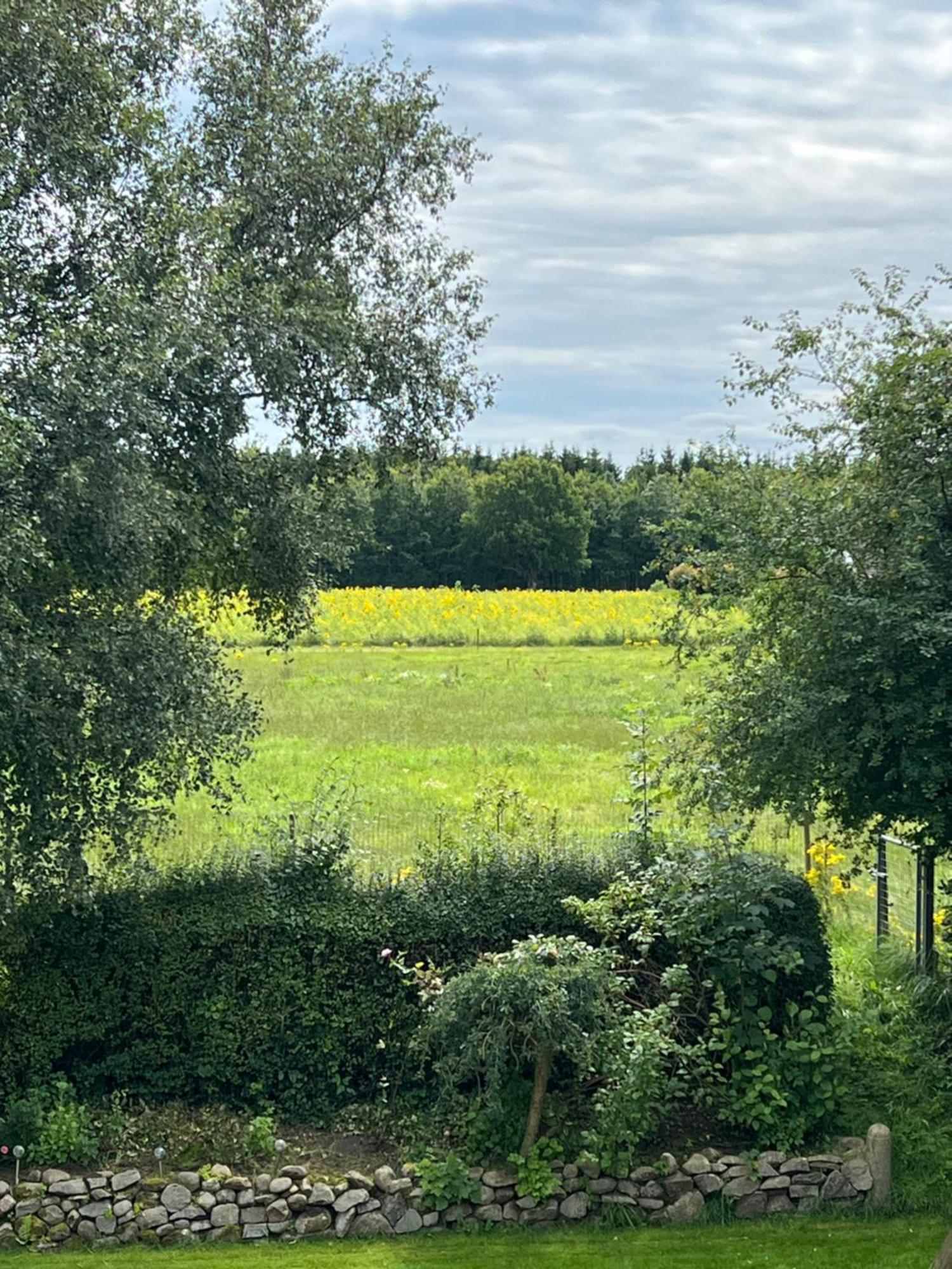 Vejbaek Domus Lägenhet Padborg Exteriör bild